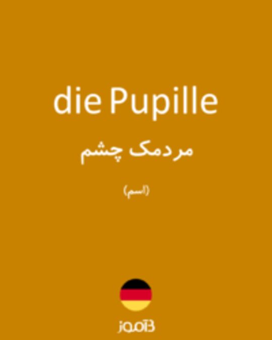  تصویر die Pupille - دیکشنری انگلیسی بیاموز