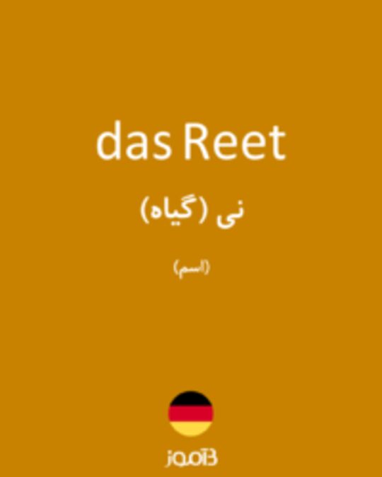  تصویر das Reet - دیکشنری انگلیسی بیاموز