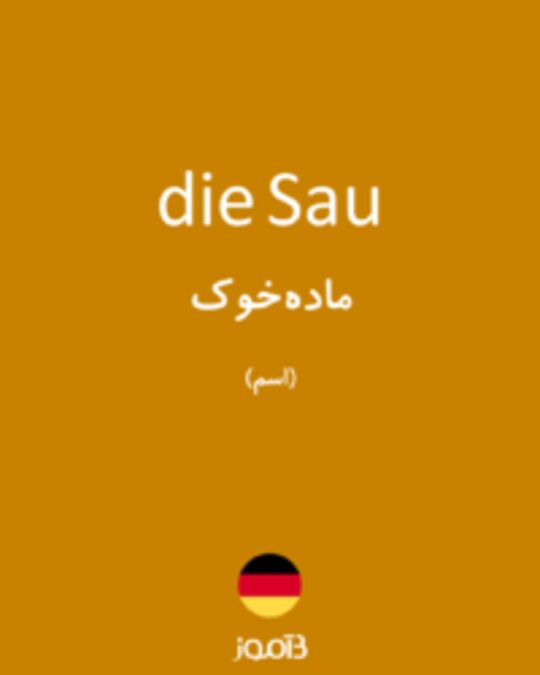  تصویر die Sau - دیکشنری انگلیسی بیاموز