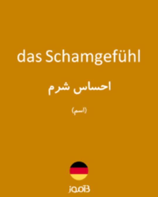  تصویر das Schamgefühl - دیکشنری انگلیسی بیاموز