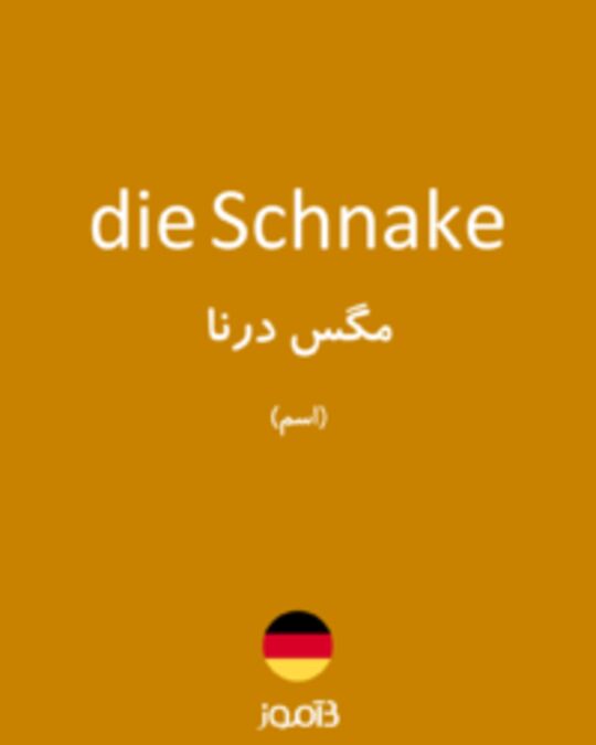  تصویر die Schnake - دیکشنری انگلیسی بیاموز