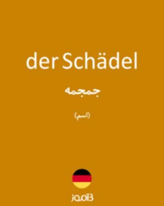  تصویر der Schädel - دیکشنری انگلیسی بیاموز