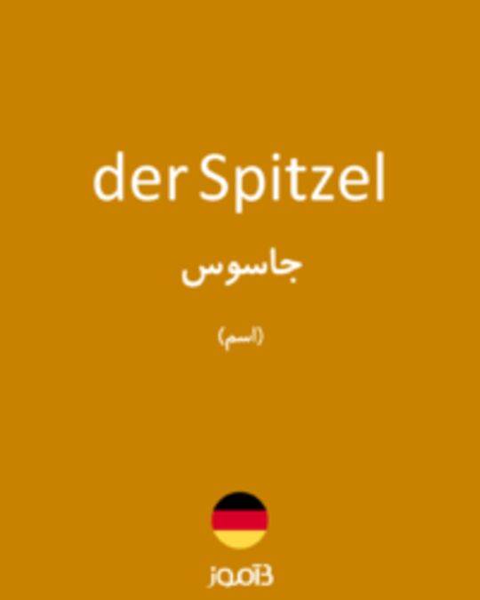  تصویر der Spitzel - دیکشنری انگلیسی بیاموز