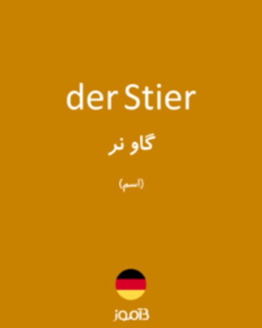  تصویر der Stier - دیکشنری انگلیسی بیاموز