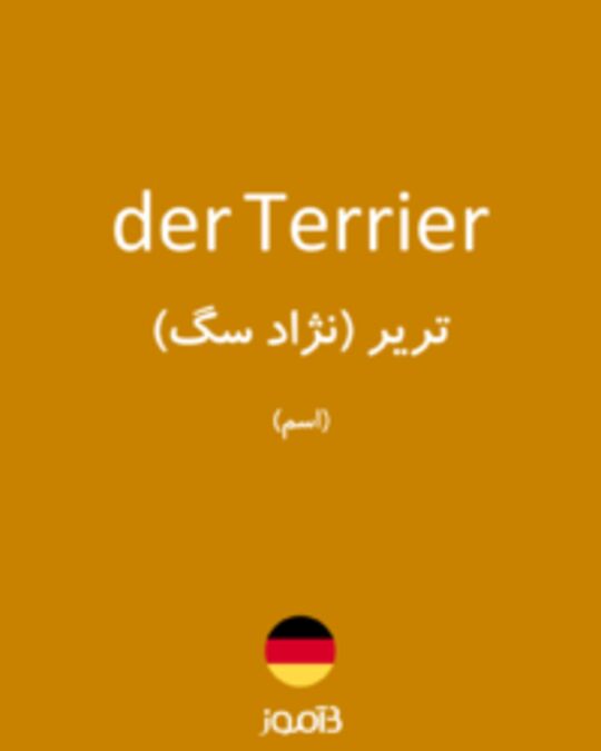  تصویر der Terrier - دیکشنری انگلیسی بیاموز