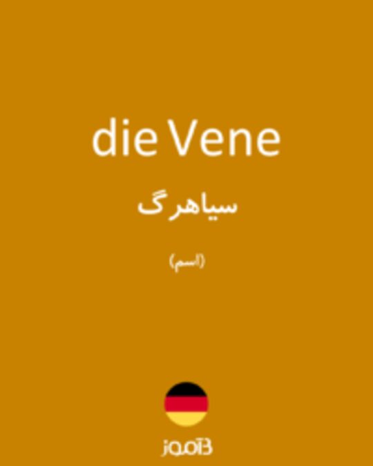  تصویر die Vene - دیکشنری انگلیسی بیاموز