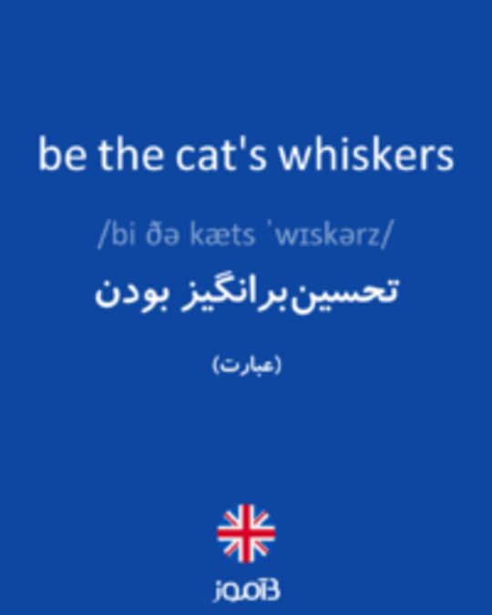  تصویر be the cat's whiskers - دیکشنری انگلیسی بیاموز