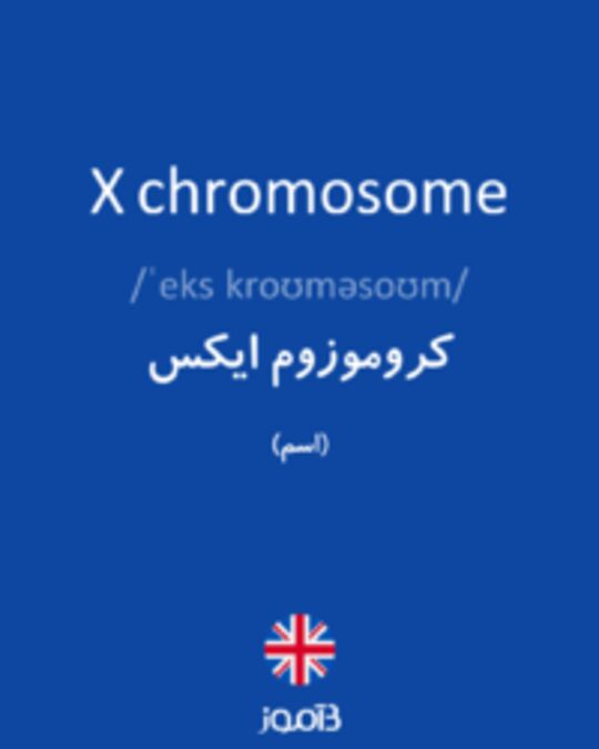  تصویر X chromosome - دیکشنری انگلیسی بیاموز