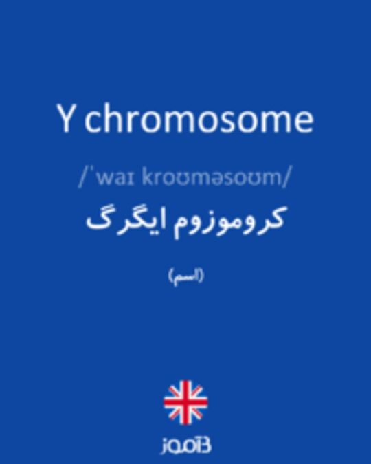  تصویر Y chromosome - دیکشنری انگلیسی بیاموز