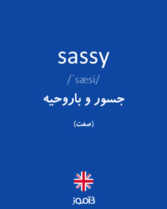  تصویر sassy - دیکشنری انگلیسی بیاموز