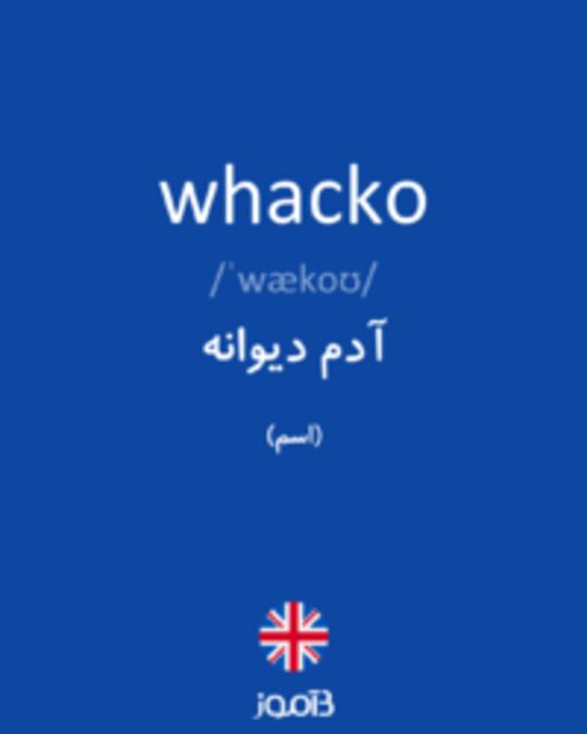  تصویر whacko - دیکشنری انگلیسی بیاموز