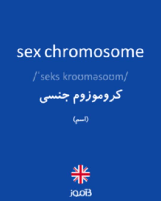  تصویر sex chromosome - دیکشنری انگلیسی بیاموز