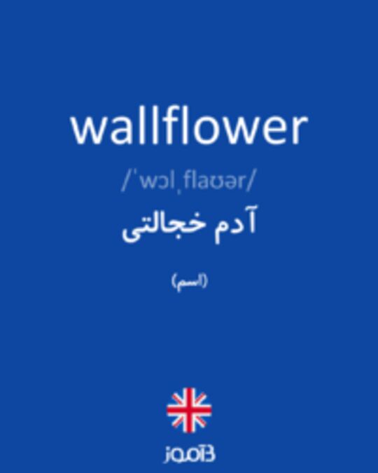  تصویر wallflower - دیکشنری انگلیسی بیاموز