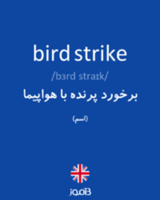  تصویر bird strike - دیکشنری انگلیسی بیاموز