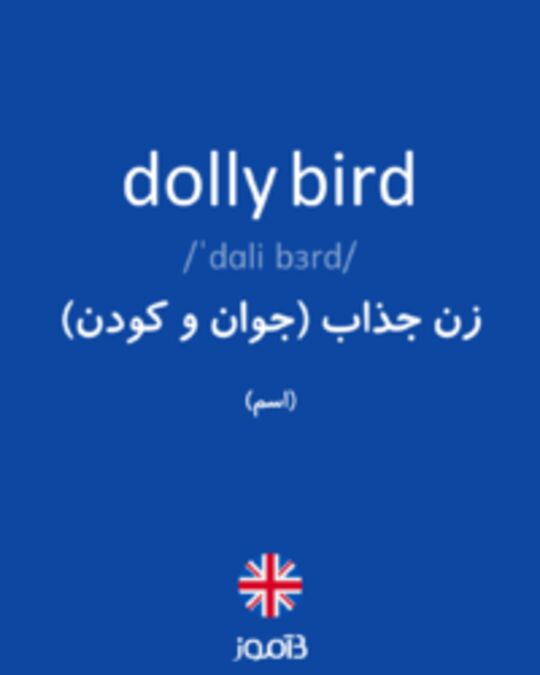  تصویر dolly bird - دیکشنری انگلیسی بیاموز