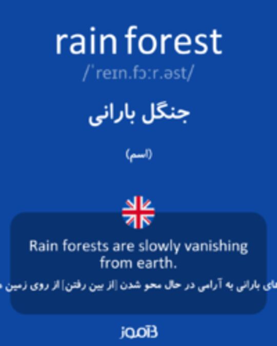  تصویر rain forest - دیکشنری انگلیسی بیاموز