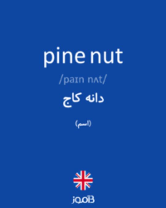  تصویر pine nut - دیکشنری انگلیسی بیاموز