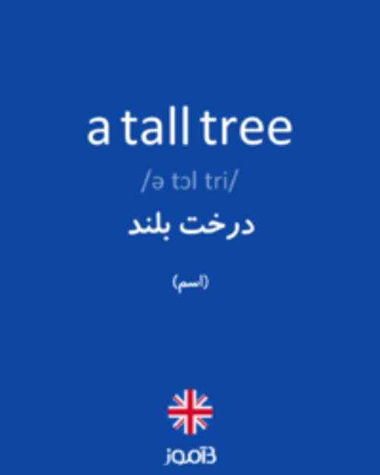  تصویر a tall tree - دیکشنری انگلیسی بیاموز