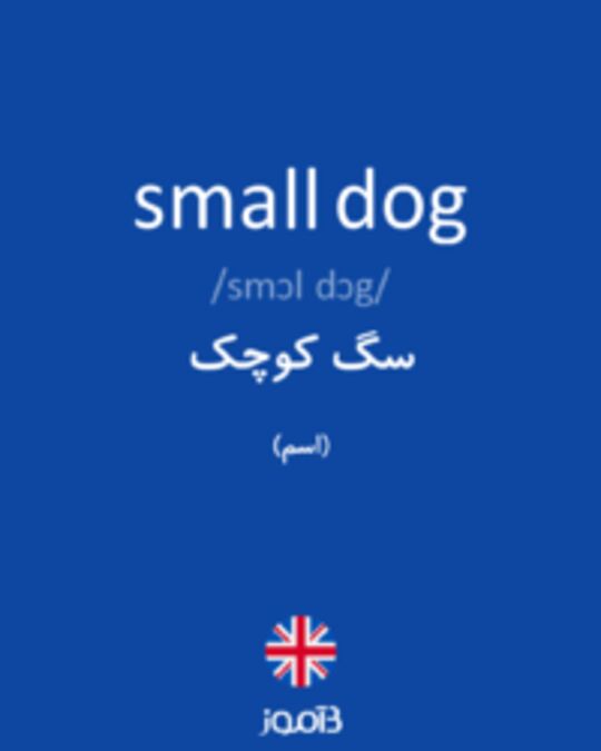  تصویر small dog - دیکشنری انگلیسی بیاموز