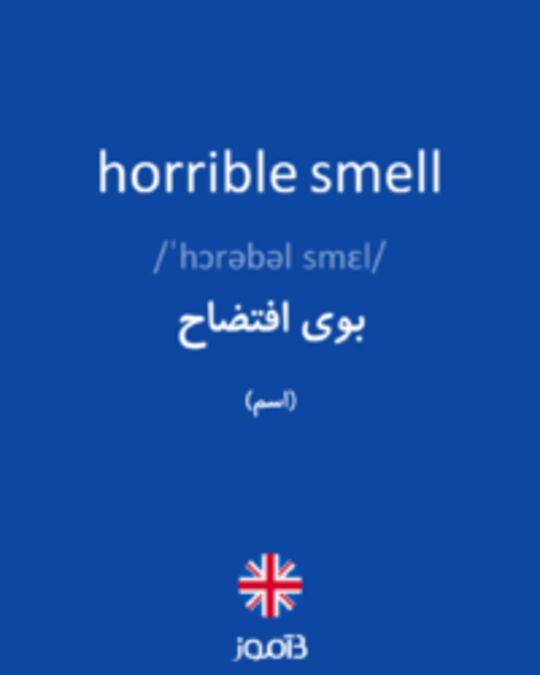  تصویر horrible smell - دیکشنری انگلیسی بیاموز