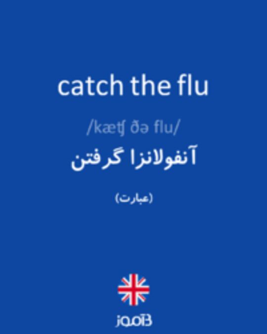  تصویر catch the flu - دیکشنری انگلیسی بیاموز