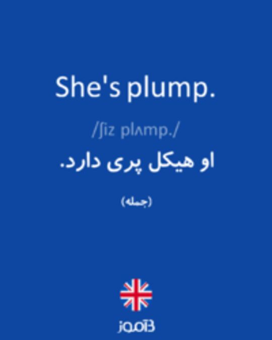  تصویر She's plump. - دیکشنری انگلیسی بیاموز