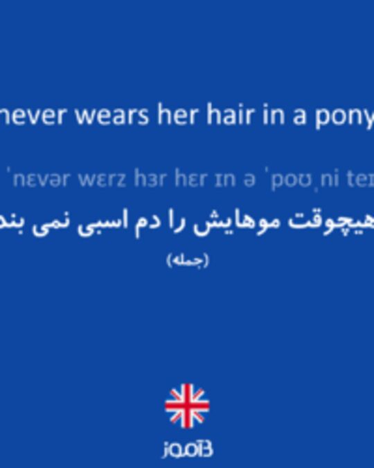  تصویر She never wears her hair in a pony tail. - دیکشنری انگلیسی بیاموز