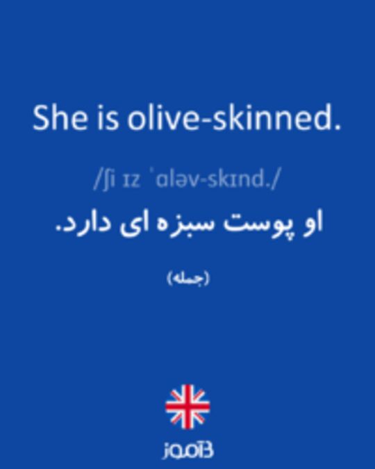  تصویر She is olive-skinned. - دیکشنری انگلیسی بیاموز