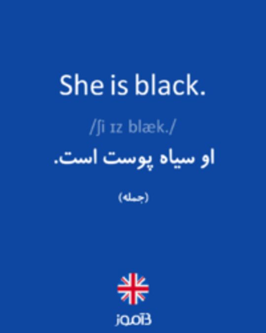  تصویر She is black. - دیکشنری انگلیسی بیاموز
