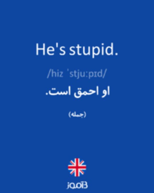  تصویر He's stupid. - دیکشنری انگلیسی بیاموز