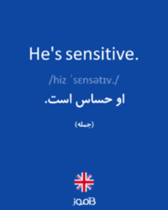  تصویر He's sensitive. - دیکشنری انگلیسی بیاموز