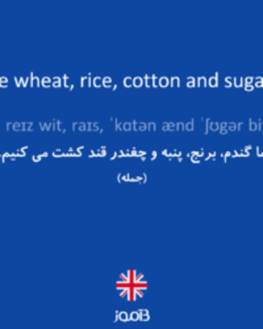  تصویر We raise wheat, rice, cotton and sugar beets. - دیکشنری انگلیسی بیاموز