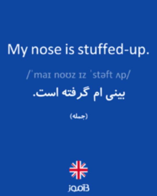  تصویر My nose is stuffed-up. - دیکشنری انگلیسی بیاموز