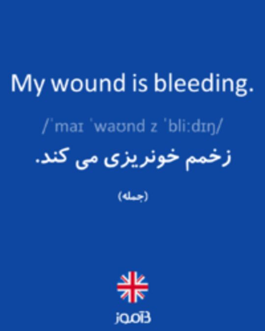  تصویر My wound is bleeding. - دیکشنری انگلیسی بیاموز