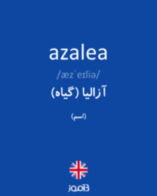  تصویر azalea - دیکشنری انگلیسی بیاموز