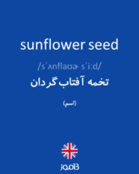  تصویر sunflower seed - دیکشنری انگلیسی بیاموز