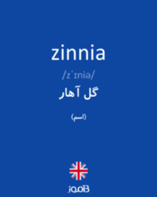  تصویر zinnia - دیکشنری انگلیسی بیاموز