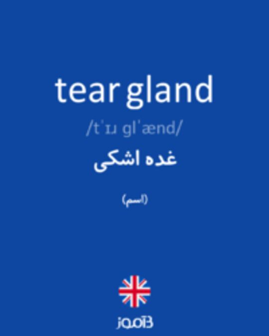  تصویر tear gland - دیکشنری انگلیسی بیاموز