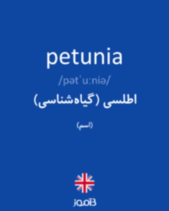  تصویر petunia - دیکشنری انگلیسی بیاموز