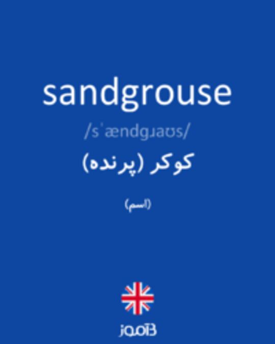  تصویر sandgrouse - دیکشنری انگلیسی بیاموز