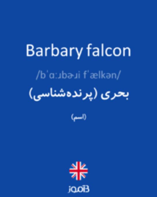  تصویر Barbary falcon - دیکشنری انگلیسی بیاموز