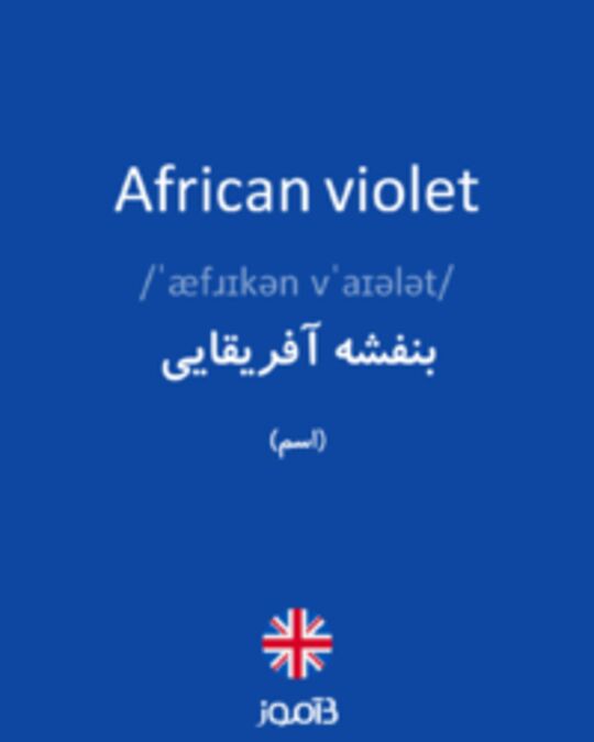  تصویر African violet - دیکشنری انگلیسی بیاموز