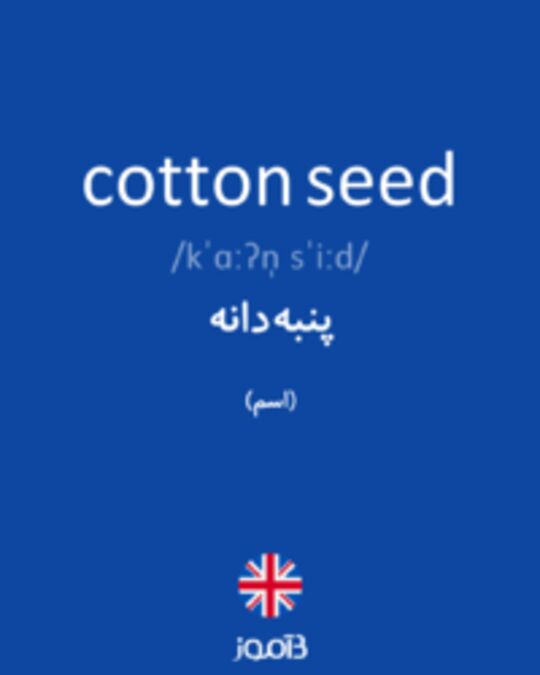  تصویر cotton seed - دیکشنری انگلیسی بیاموز