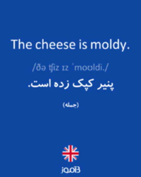  تصویر The cheese is moldy. - دیکشنری انگلیسی بیاموز