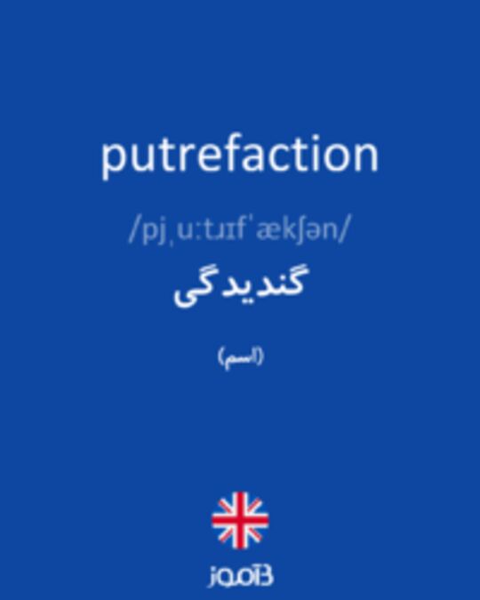  تصویر putrefaction - دیکشنری انگلیسی بیاموز