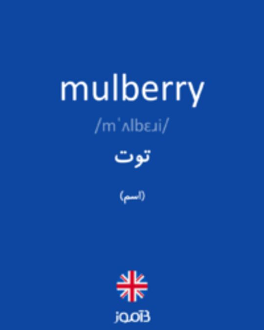  تصویر mulberry - دیکشنری انگلیسی بیاموز