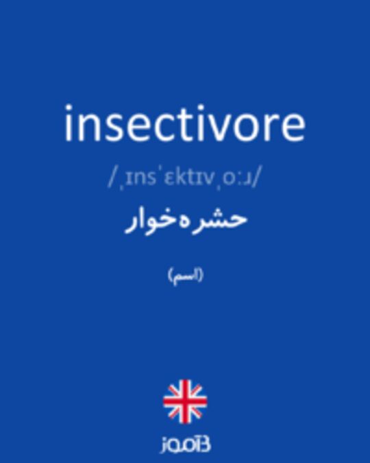  تصویر insectivore - دیکشنری انگلیسی بیاموز