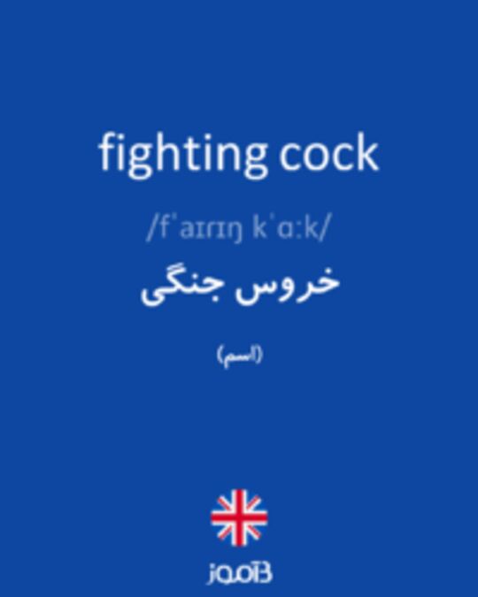  تصویر fighting cock - دیکشنری انگلیسی بیاموز