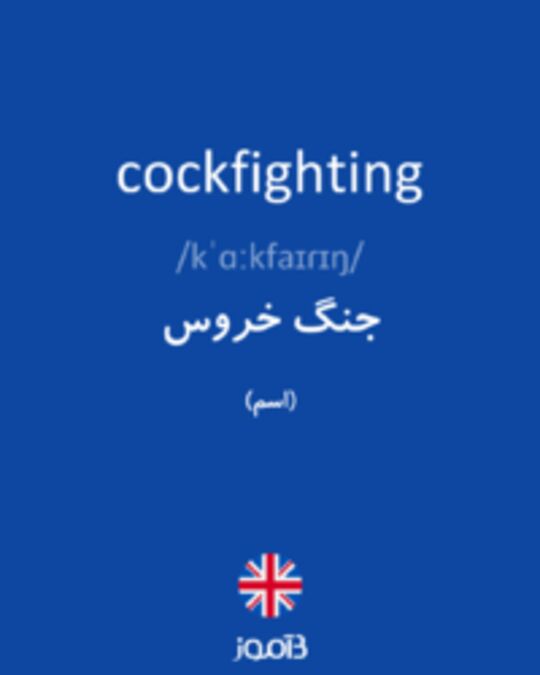  تصویر cockfighting - دیکشنری انگلیسی بیاموز