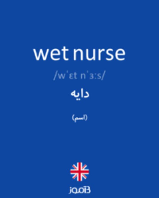  تصویر wet nurse - دیکشنری انگلیسی بیاموز
